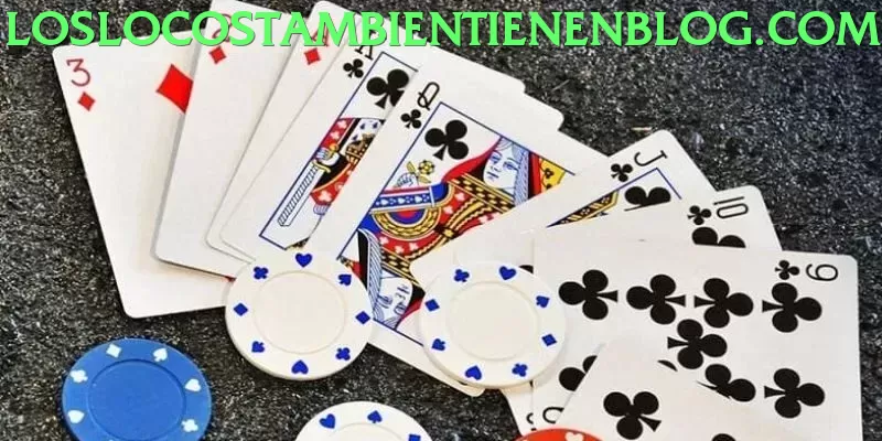 705bet Gaming Experience - app